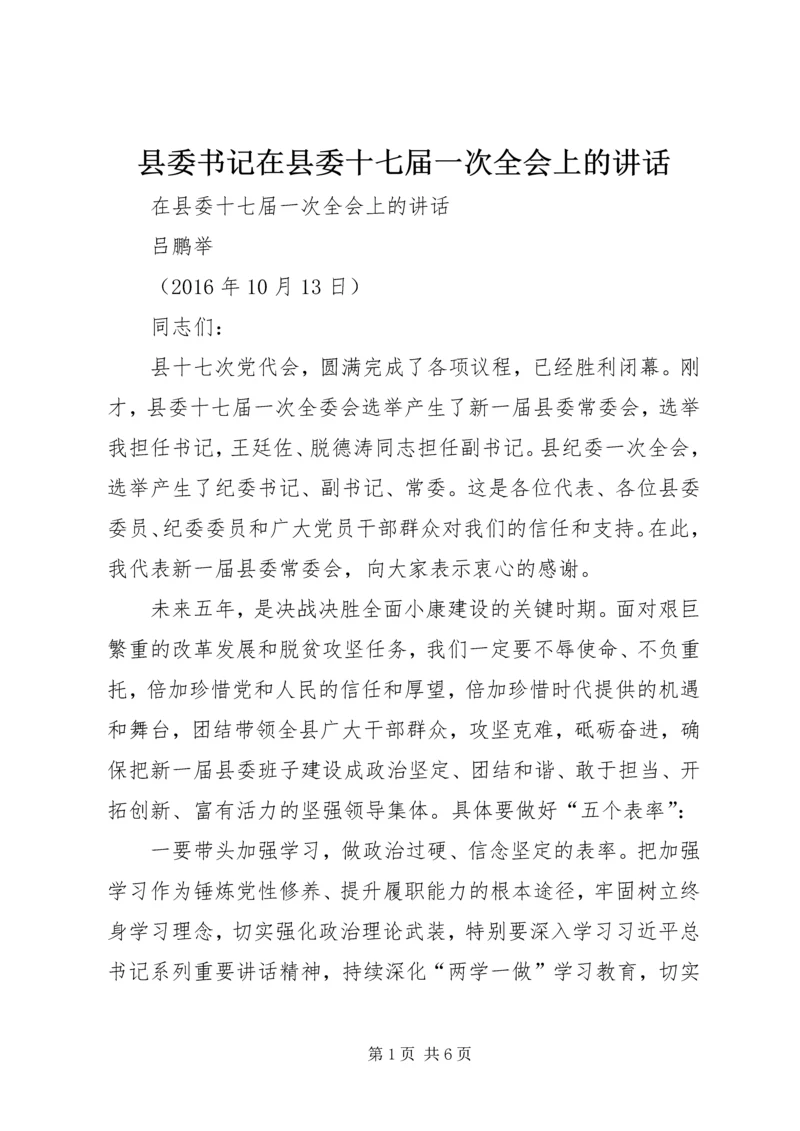 县委书记在县委十七届一次全会上的讲话.docx