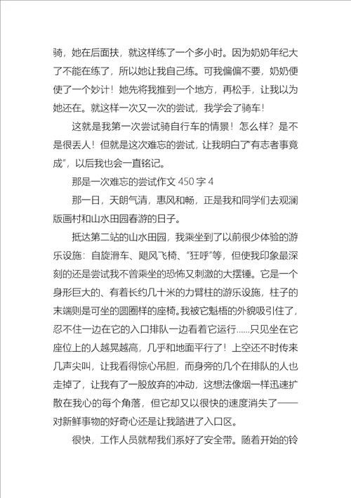 那是一次难忘的尝试作文450字