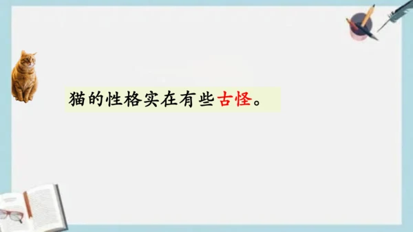 《13.猫》课件