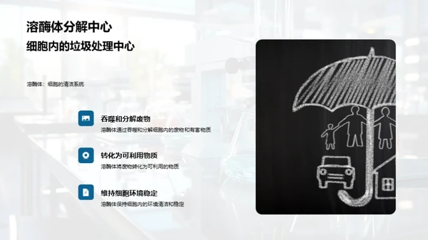细胞：生命的微观世界