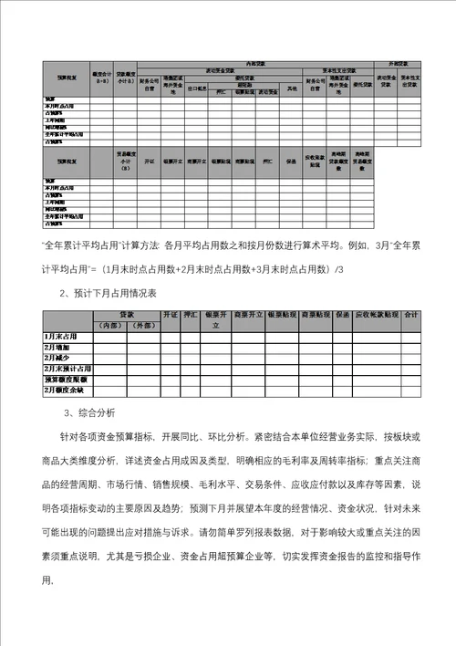 2013年资金分析报告模板