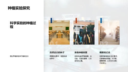 探索科学实验之旅