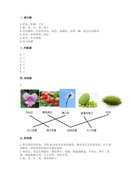 科学四年级下册第一单元《植物的生长变化》测试卷【重点】.docx