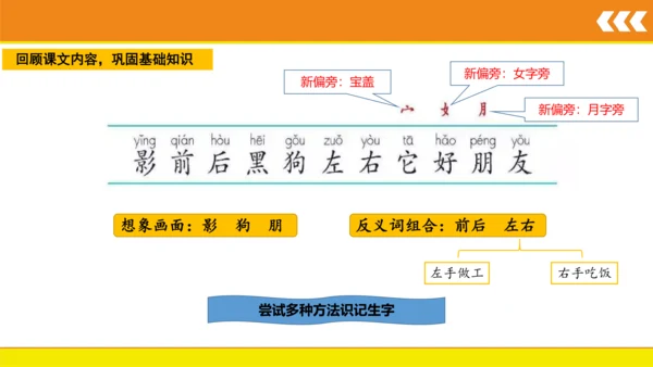 5 影子  课件