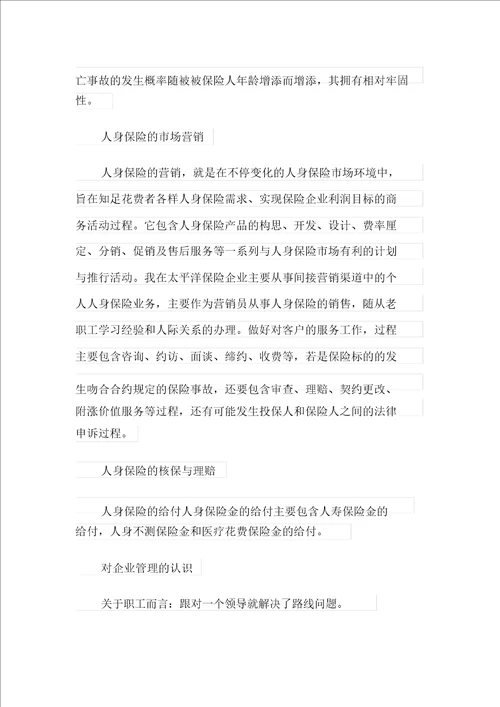 保险公司实习报告新编