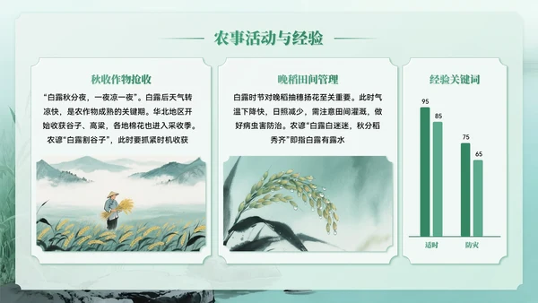 绿色系中国风白露节气介绍PPT模板
