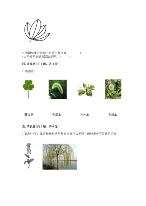 教科版一年级上册科学期末测试卷精品（能力提升）.docx