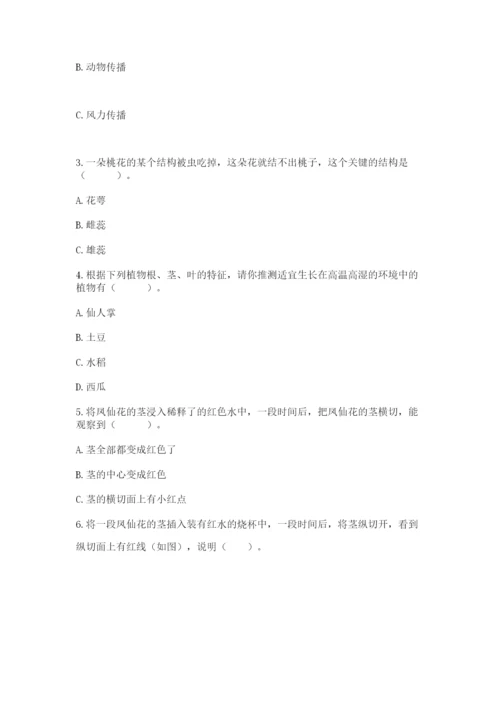 科学四年级下册第一单元植物的生长变化测试卷【word】.docx