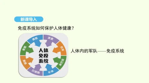 8.1.2.2免疫与计划免疫（第二课时）课件-人教版生物八年级下册(共27张PPT)