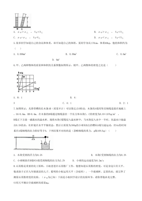 2023年中考物理知识点全突破系列专题密度公式及其应用.docx