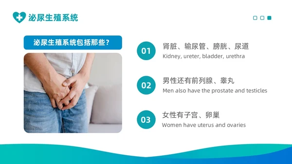 渐变绿色泌尿外科护理工作医疗健康通用PPT