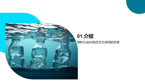 塑料污染与海洋保护