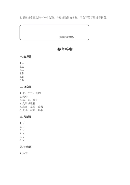 教科版一年级下册科学期末测试卷【综合题】.docx