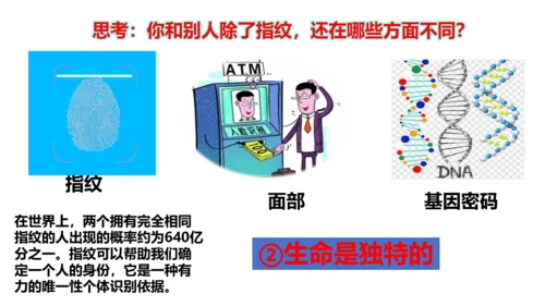 8.1 生命可以永恒吗 课件(共23张PPT)