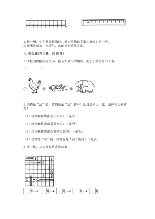 教科版科学一年级上册期末测试卷附参考答案（模拟题）.docx