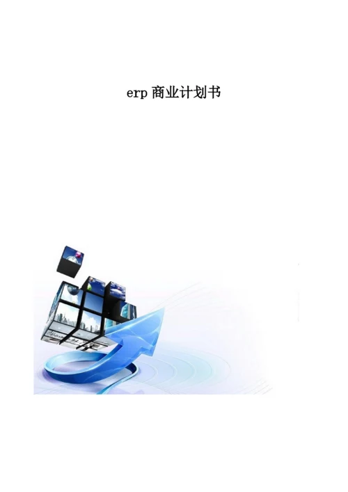 erp商业计划书模板.docx