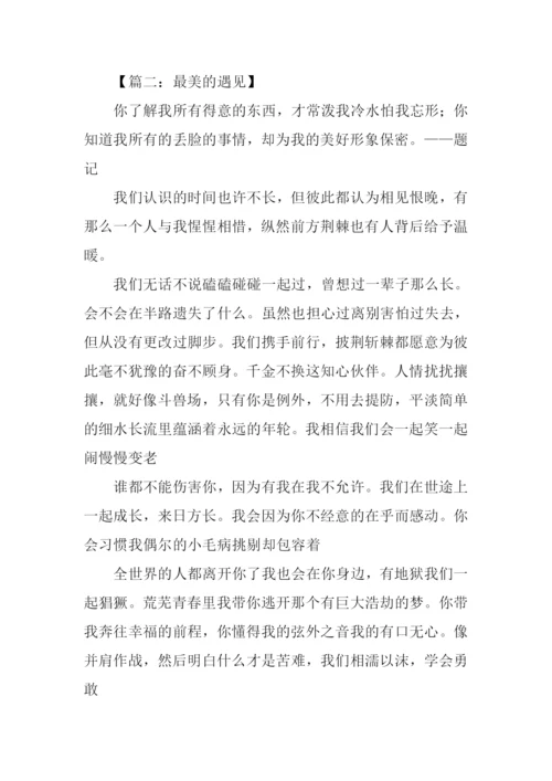 美丽的遇见作文.docx