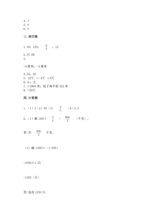 六年级下册数学《期末测试卷》学生专用.docx