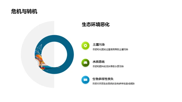 稻田生态的科学探究