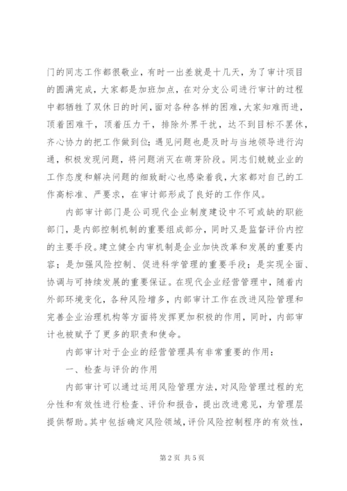 广电系统某公司审计部门个人工作总结感想范文.docx
