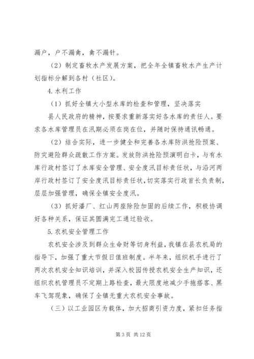 乡镇某年上半年总结及下半年工作计划.docx