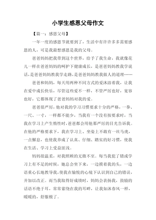 小学生感恩父母作文.docx