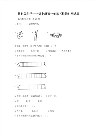 教科版科学一年级上册第一单元植物测试卷附完整答案夺冠系列