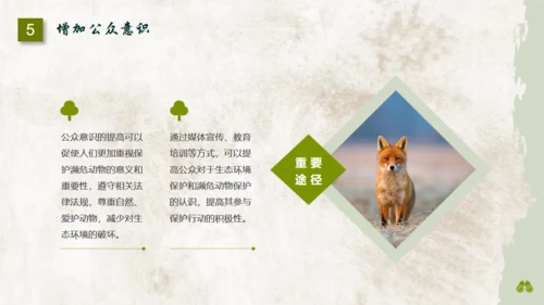 保护濒危野生动物通用PPT模板