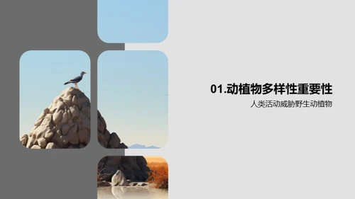 3D风其他行业教育活动PPT模板