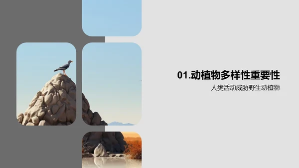 3D风其他行业教育活动PPT模板