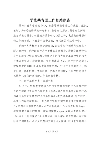 学校共青团工作总结报告.docx