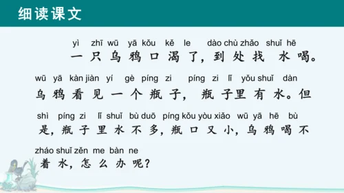 课文13《乌鸦喝水》课件
