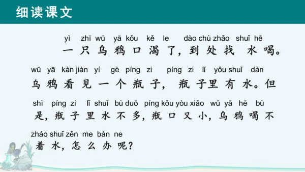 课文13《乌鸦喝水》课件