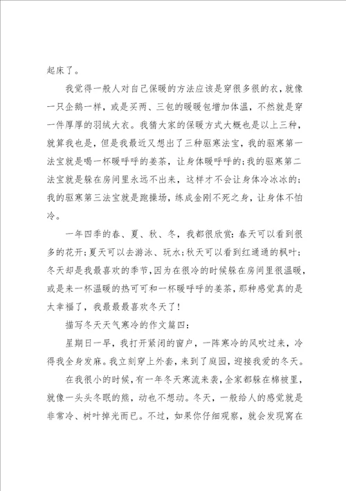 描写冬天天气寒冷的作文5篇