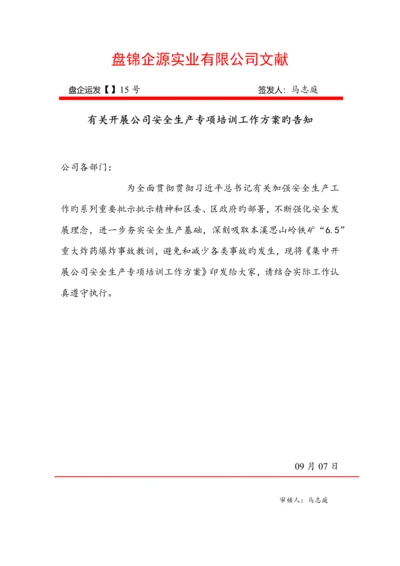 集中开展企业安全生产专题培训工作方案.docx