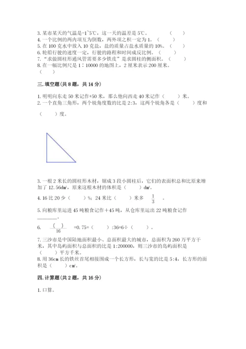 小升初六年级期末试卷（全优）word版.docx