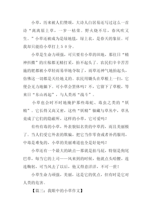 我眼中的小草作文300字.docx