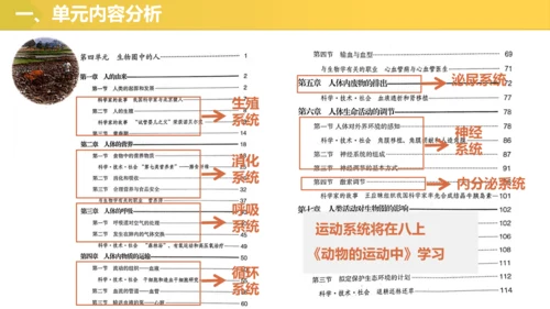 第四单元 生物圈中的人 七年级生物下册同步精品课件（人教版）(共31张PPT)