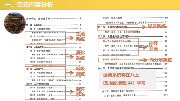 第四单元 生物圈中的人 七年级生物下册同步精品课件（人教版）(共31张PPT)