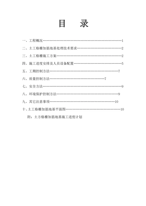 土工格栅综合标准施工专业方案.docx