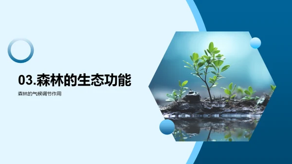 地理科学与植树行动