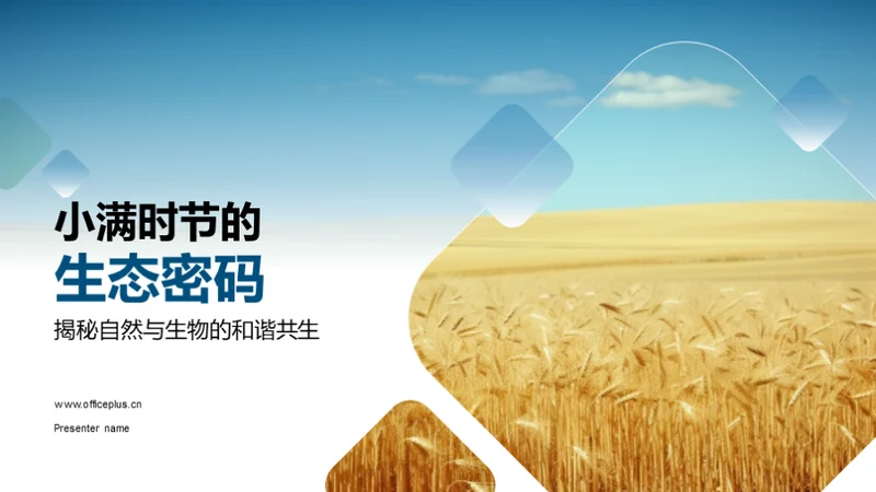小满时节的生态密码