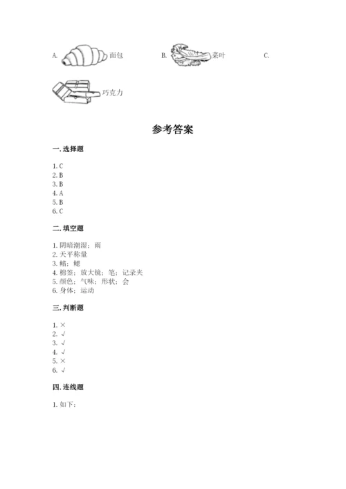 教科版一年级下册科学期末测试卷及答案【最新】.docx