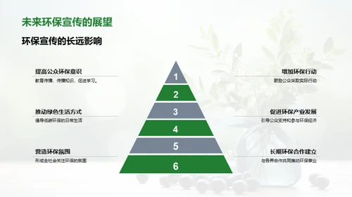 双十一环保行动