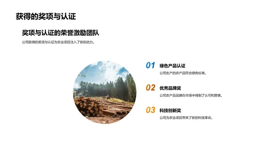 农业项目进展与展望