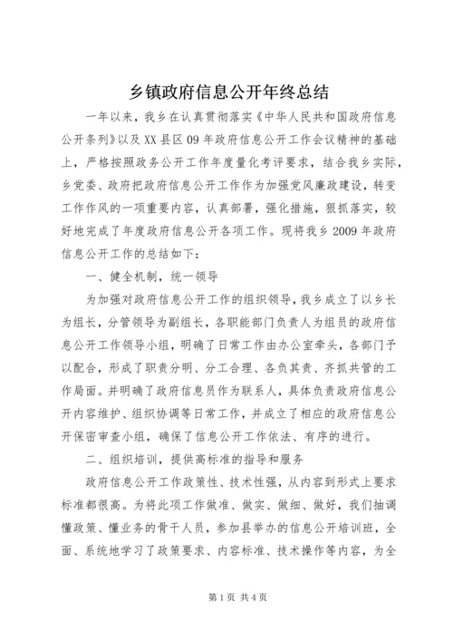 乡镇政府信息公开年终总结.docx