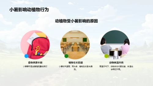 小暑节气科学探索