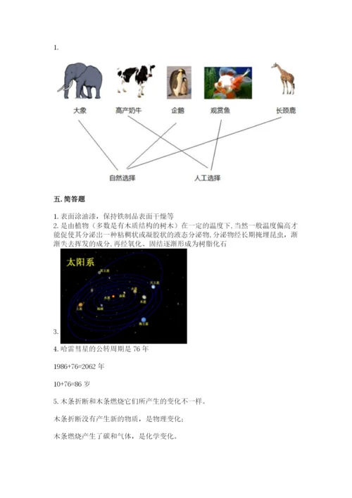 教科版科学六年级下册期末测试卷附答案（精练）.docx