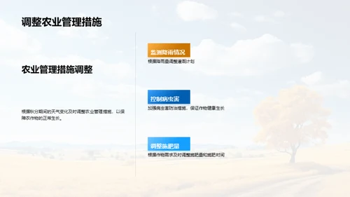 秋分节气与农业
