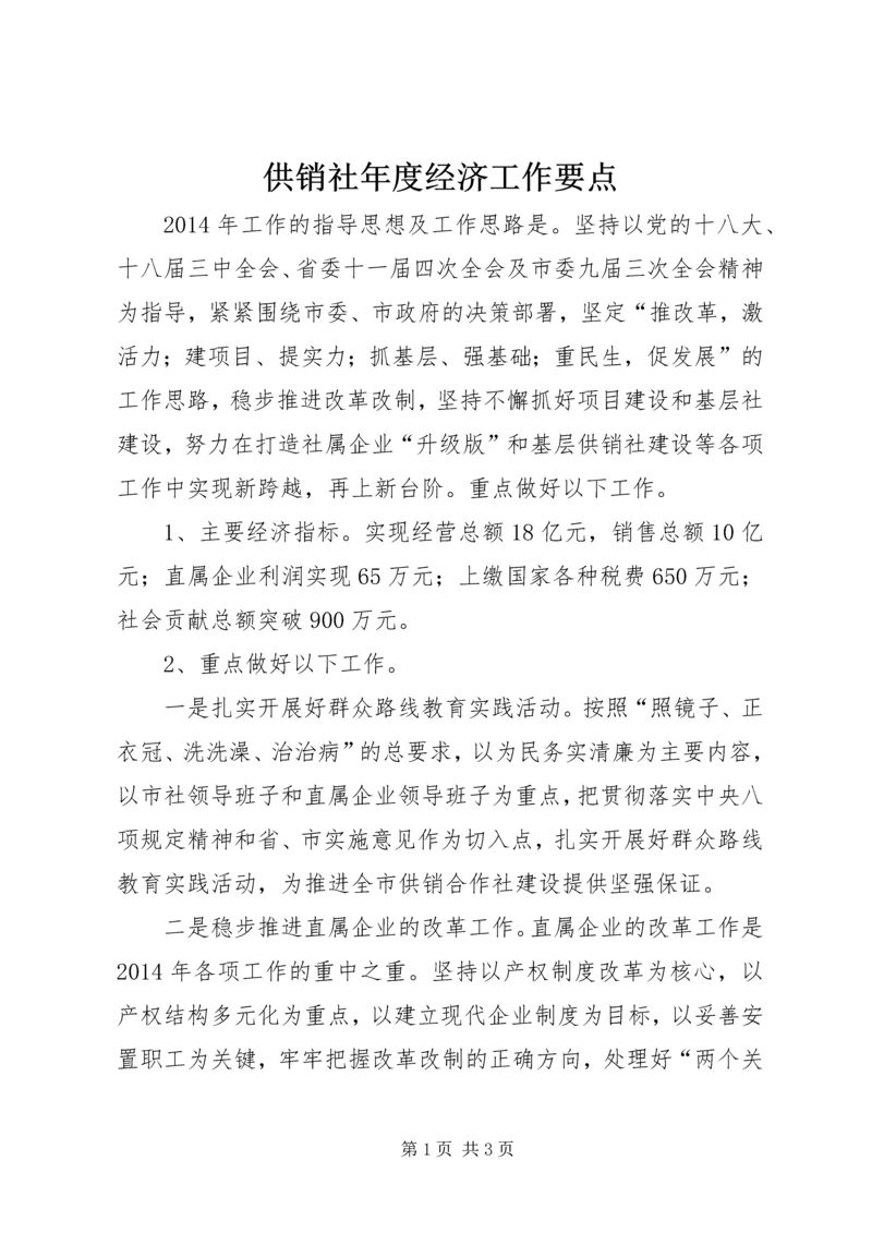 供销社年度经济工作要点.docx